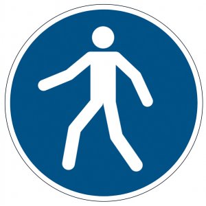 1731-06